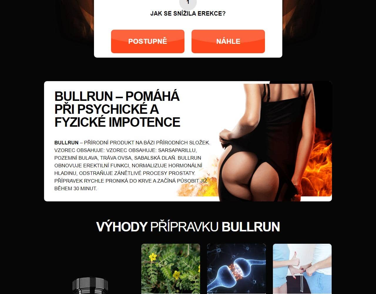 Bullrun 2