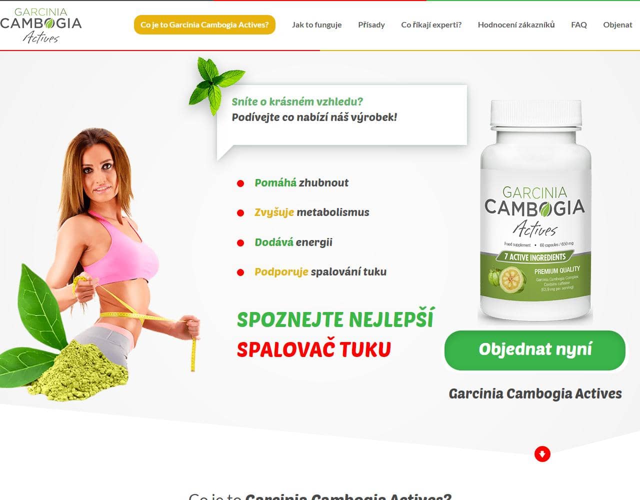 Garcinia Cambogia Actives 1